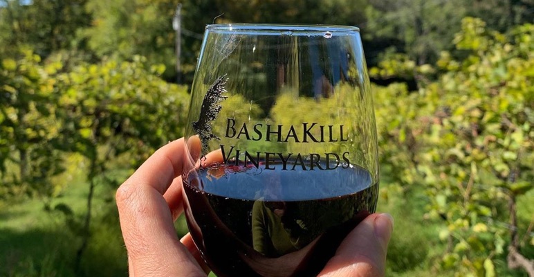 BashaKill Vineyards