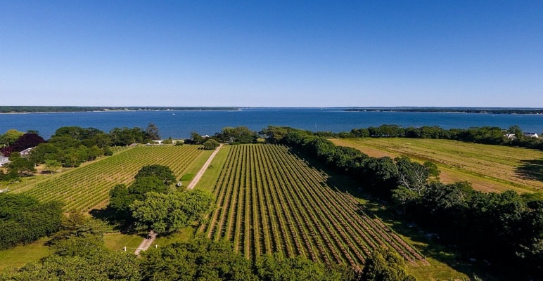 Long Island Wine Council